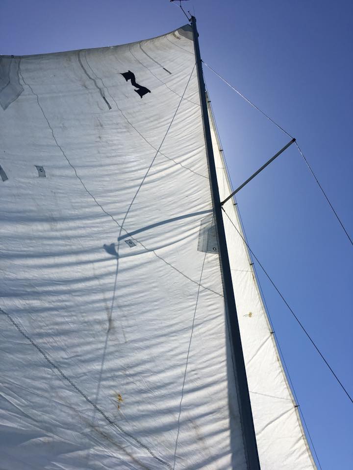 The mainsail, mast, inner and outer shrouds of a sailboat.