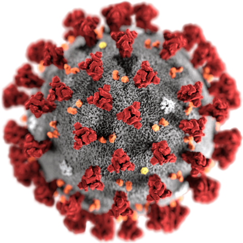 An illustration of SARS-CoV-2 from the US Centers for Disease Control.