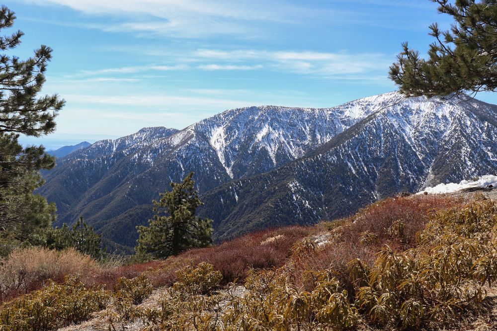 Top 3 Short Hikes in Wrightwood